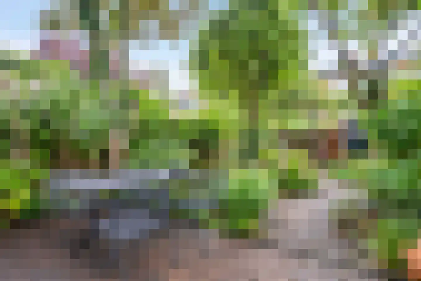 Gratamastraat 45 Groningen thumbnail 49