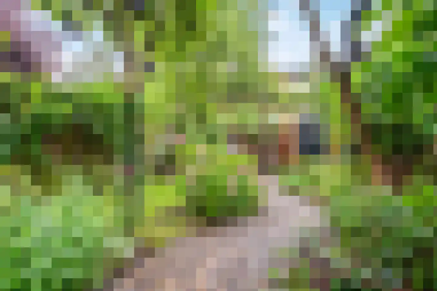 Gratamastraat 45 Groningen thumbnail 50