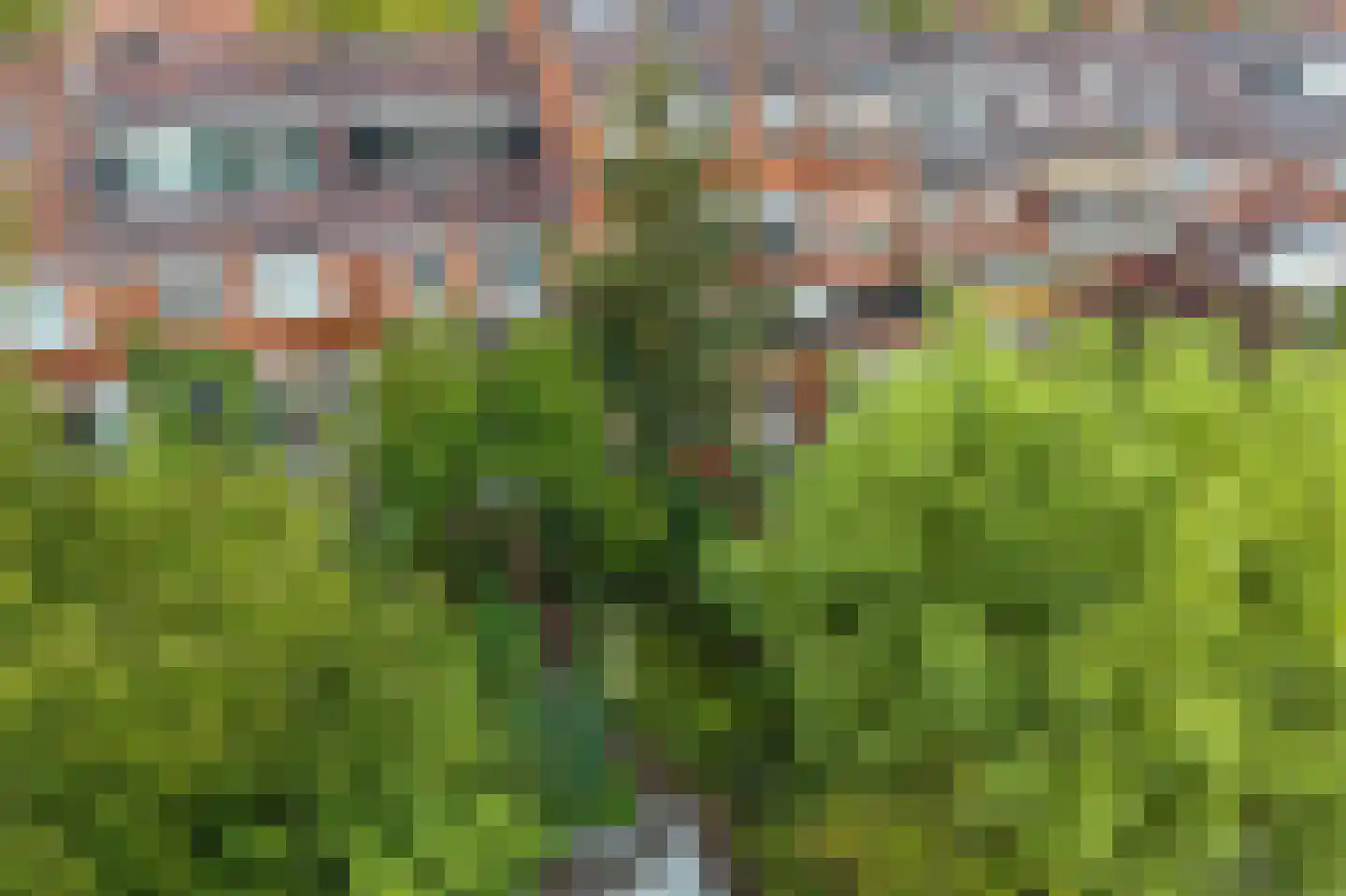 Gratamastraat 45 Groningen thumbnail 53