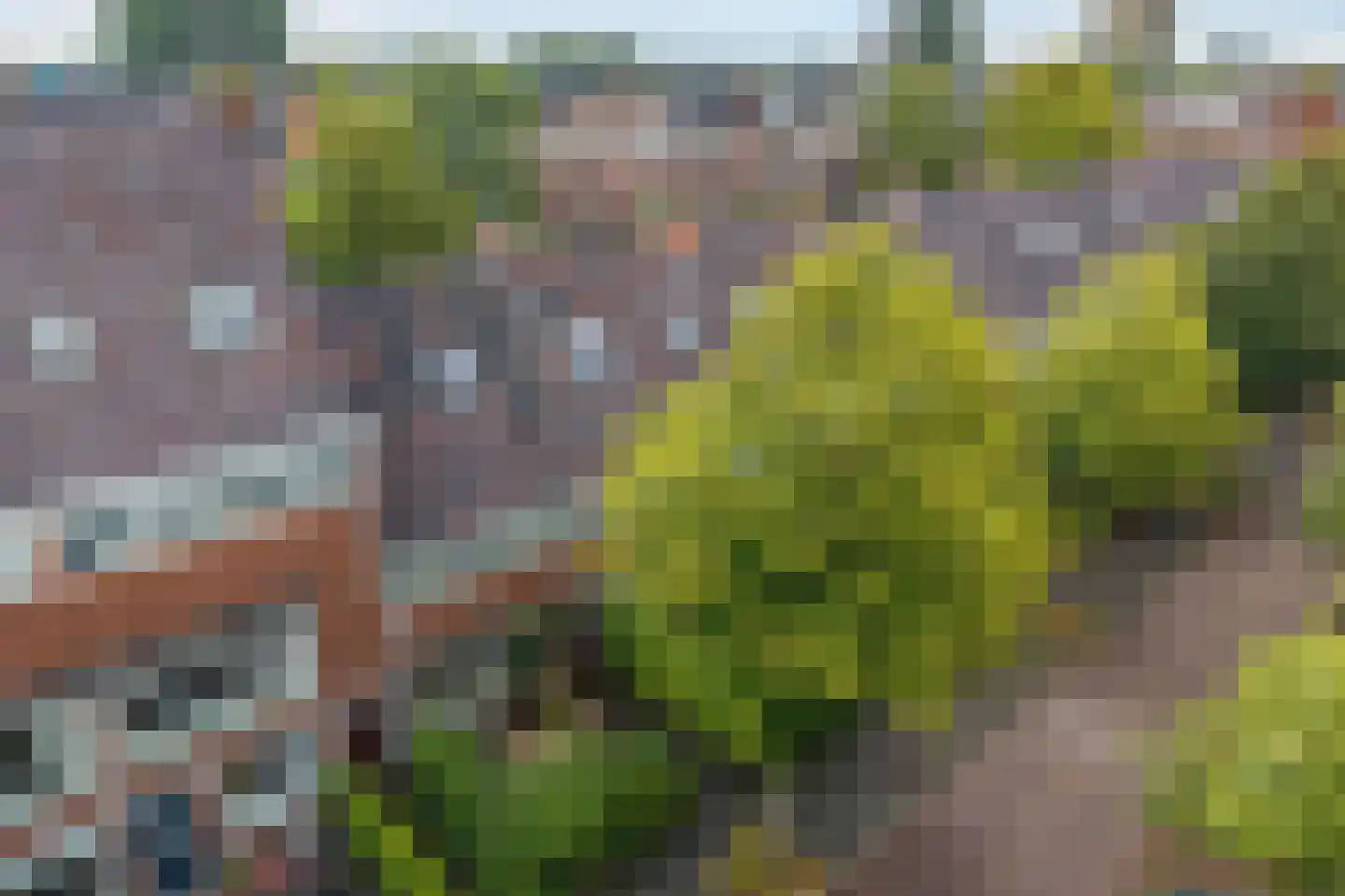Gratamastraat 45 Groningen thumbnail 55