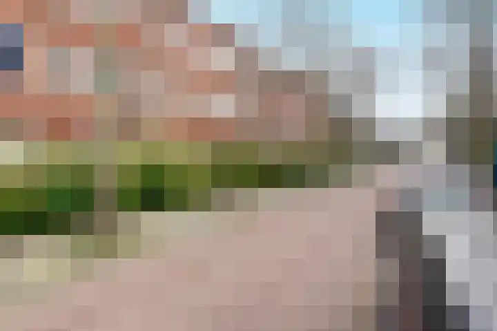 Gratamastraat 46 b Groningen thumbnail 20