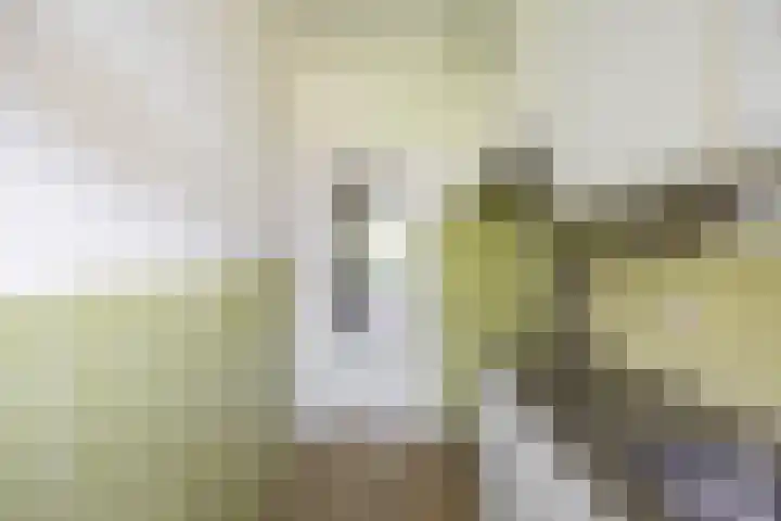 Gratamastraat 5 Groningen thumbnail 18