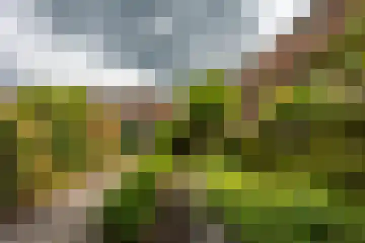 Gratamastraat 5 Groningen thumbnail 19