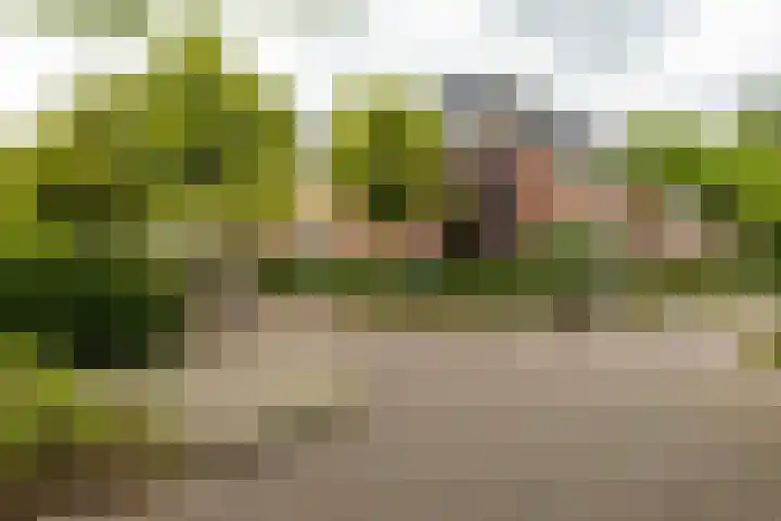 Gratamastraat 5 Groningen thumbnail 23