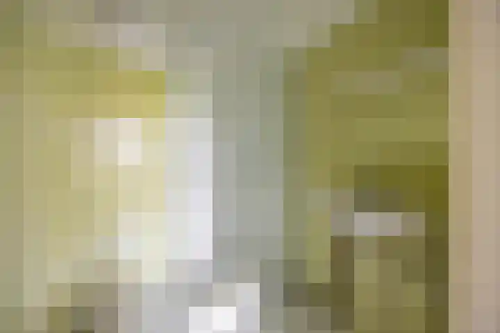 Gratamastraat 5 Groningen thumbnail 4