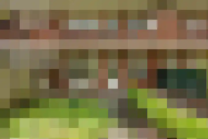 Gratamastraat 5 Groningen thumbnail 5