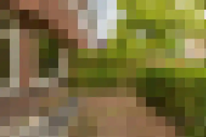 Gratamastraat 5 Groningen thumbnail 8