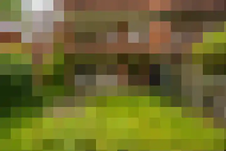 Gratamastraat 61 Groningen thumbnail 19