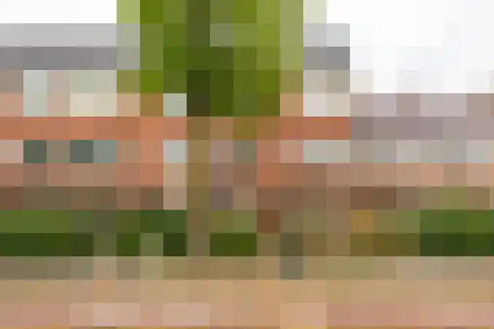 Gratamastraat 61 Groningen thumbnail 23