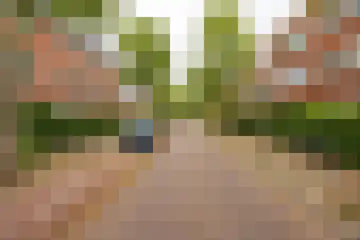 Gratamastraat 61 Groningen thumbnail 24
