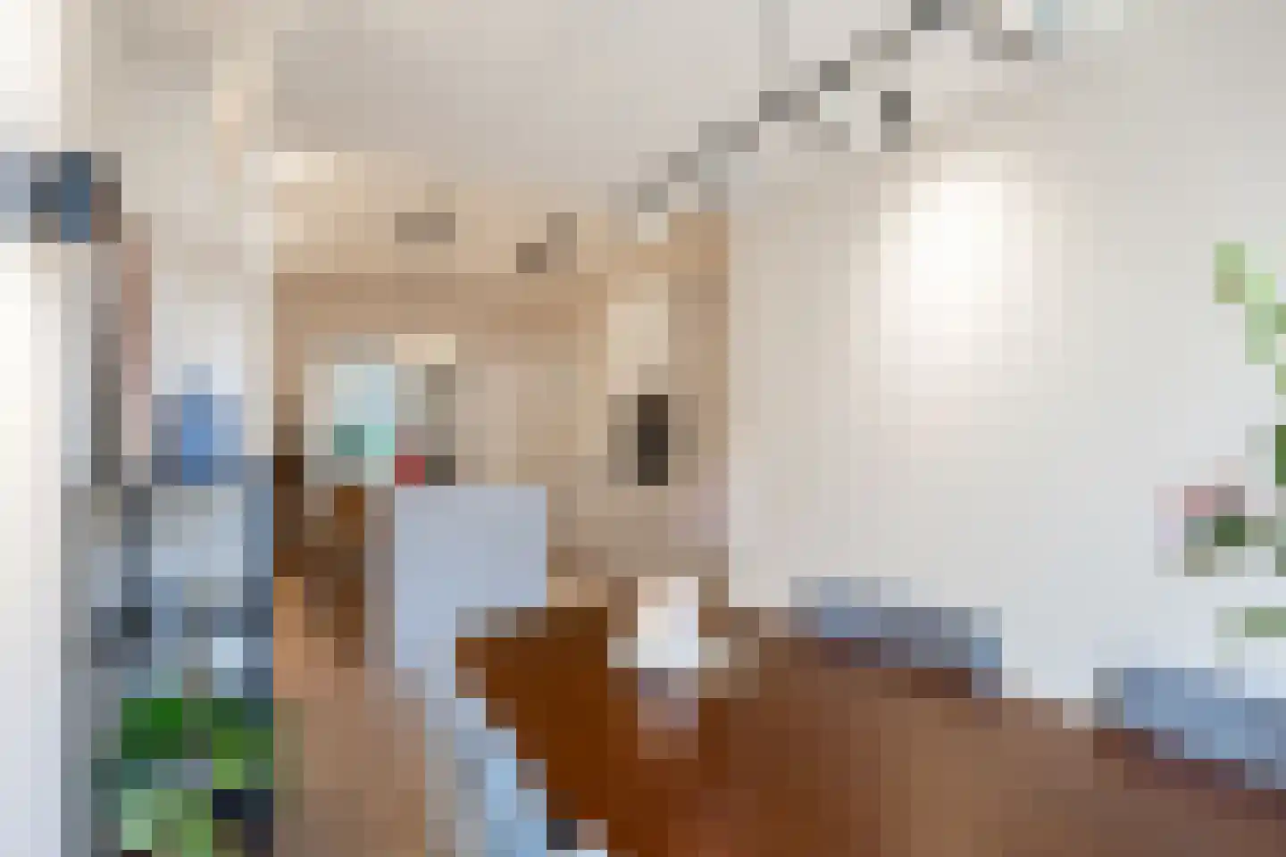 Gratamastraat 61 Groningen thumbnail 34