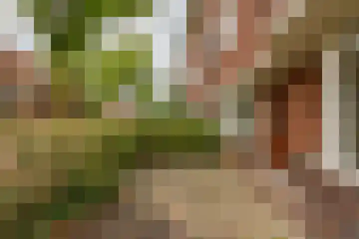 Gratamastraat 61 Groningen thumbnail 4