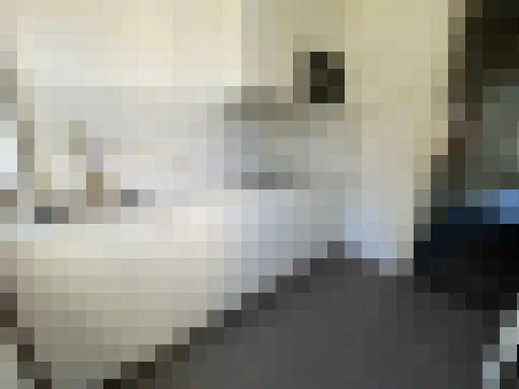 Gratamastraat Groningen thumbnail 5