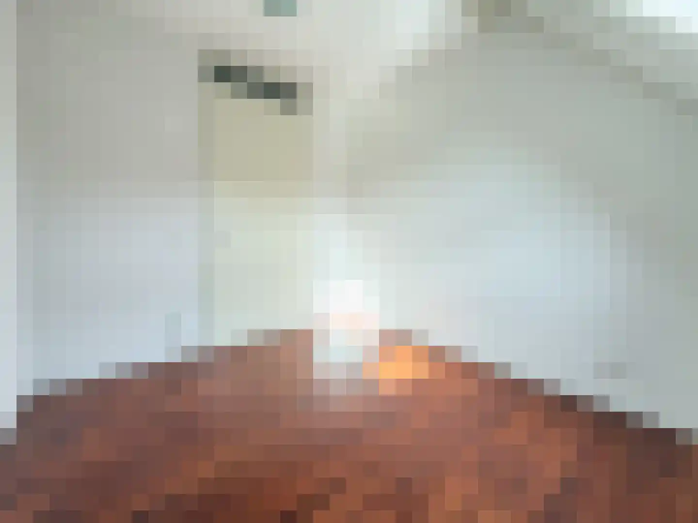 Grateastraat 21 Capelle aan den IJssel thumbnail 32