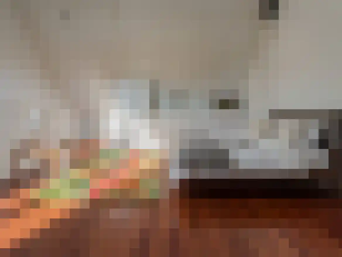 Grateastraat 21 Capelle aan den IJssel thumbnail 36