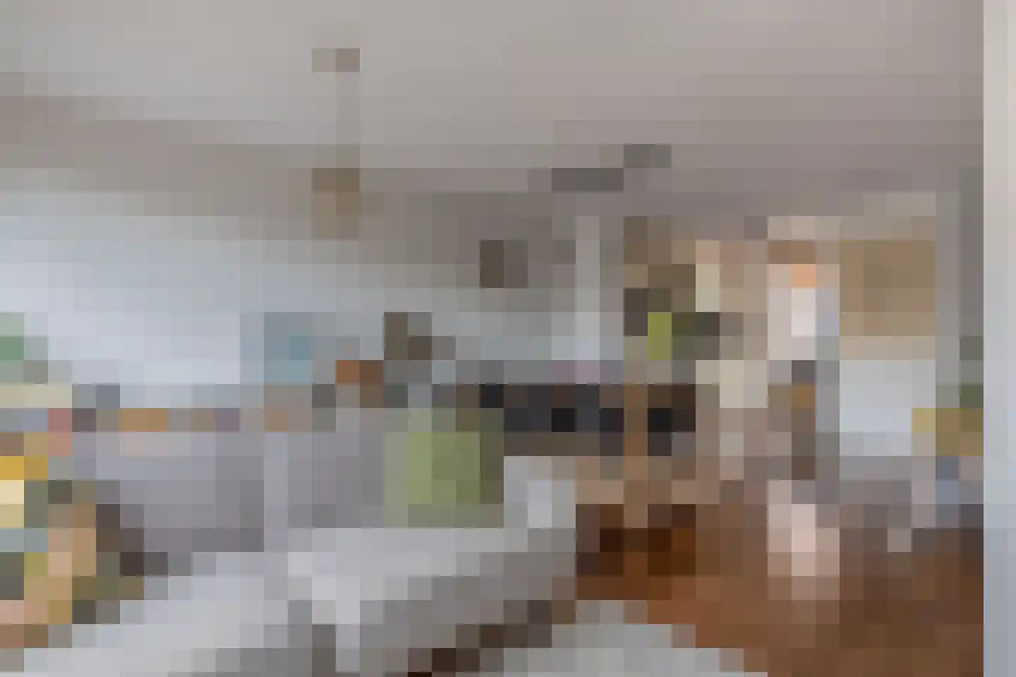 Grateastraat 33 Capelle aan den IJssel thumbnail 11