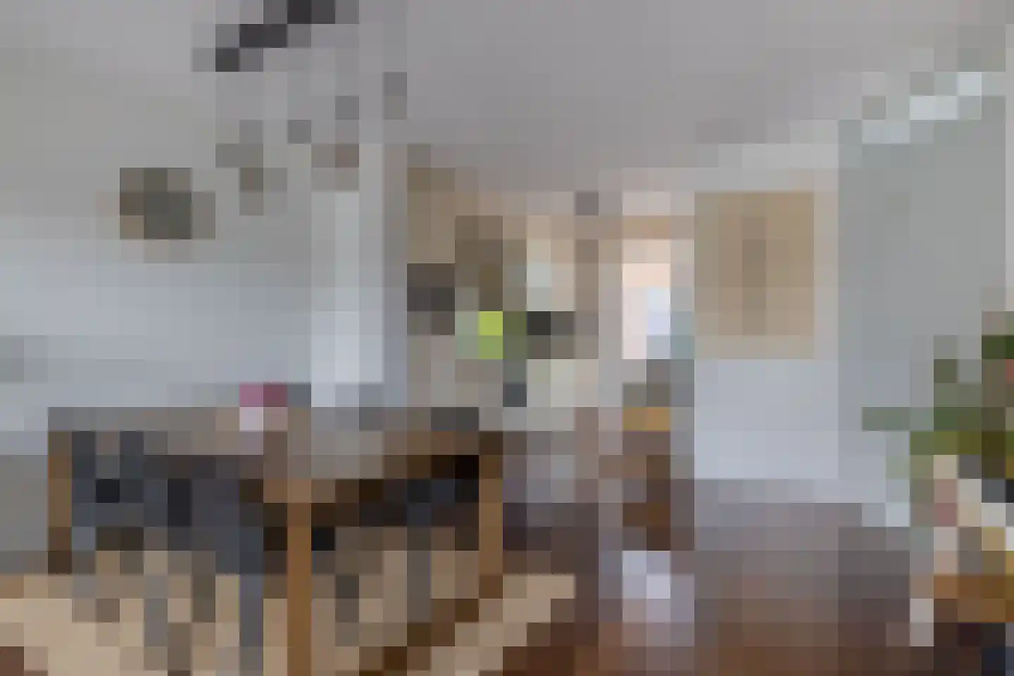 Grateastraat 33 Capelle aan den IJssel thumbnail 13