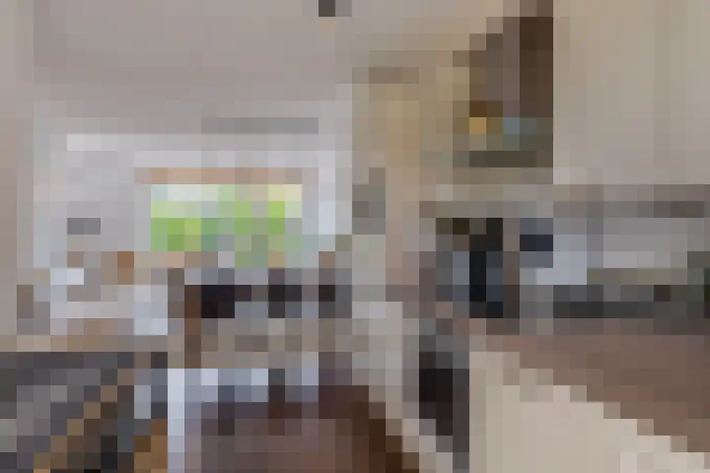 Grateastraat 33 Capelle aan den IJssel thumbnail 16