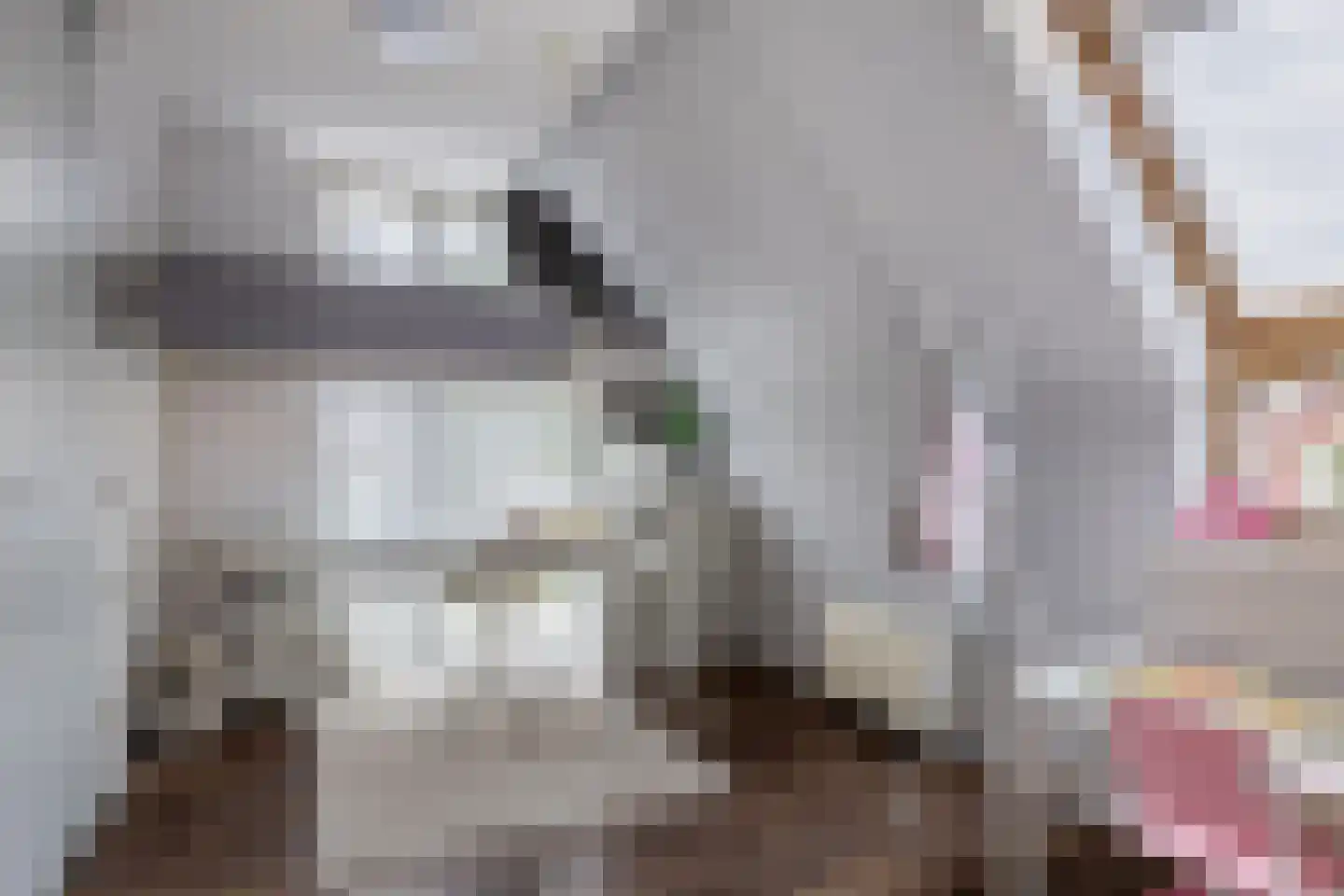 Grateastraat 33 Capelle aan den IJssel thumbnail 27