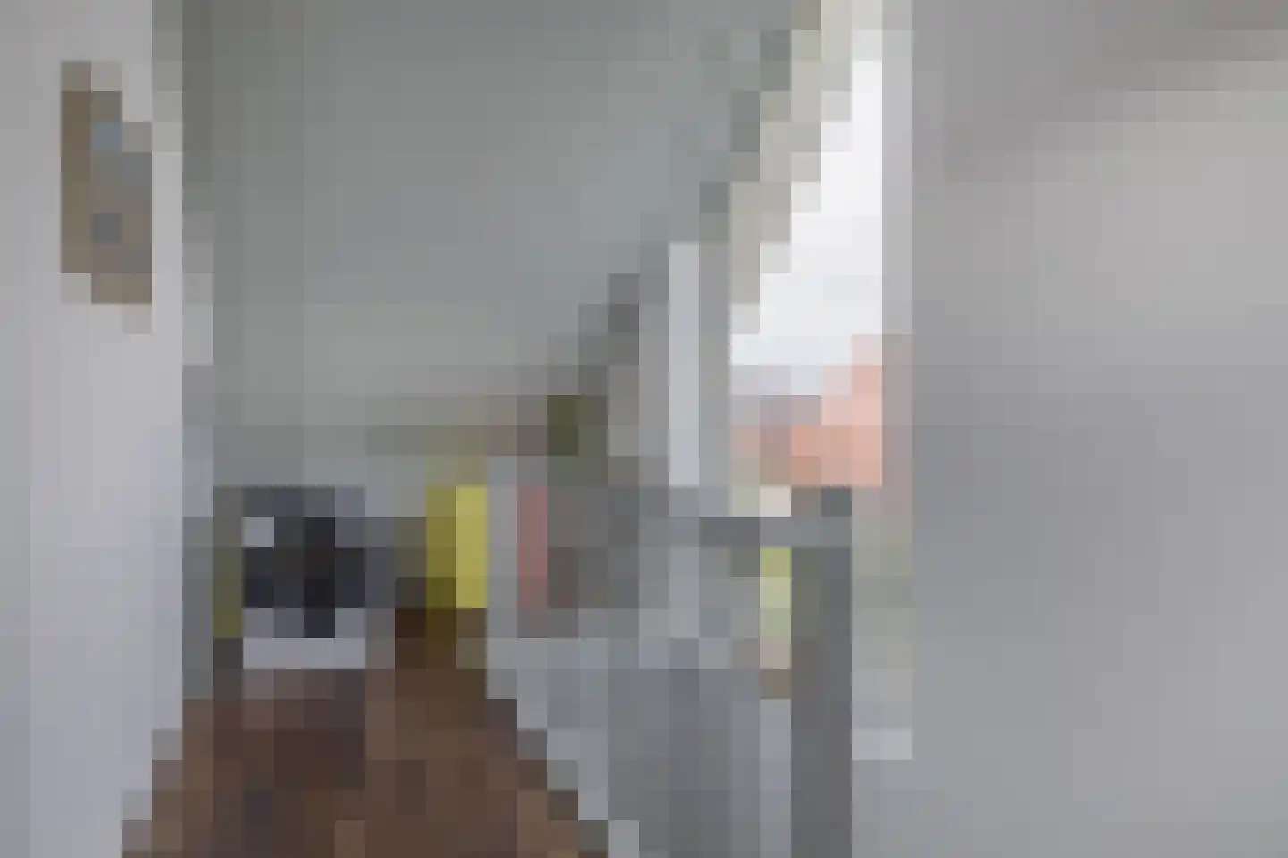 Grateastraat 33 Capelle aan den IJssel thumbnail 28