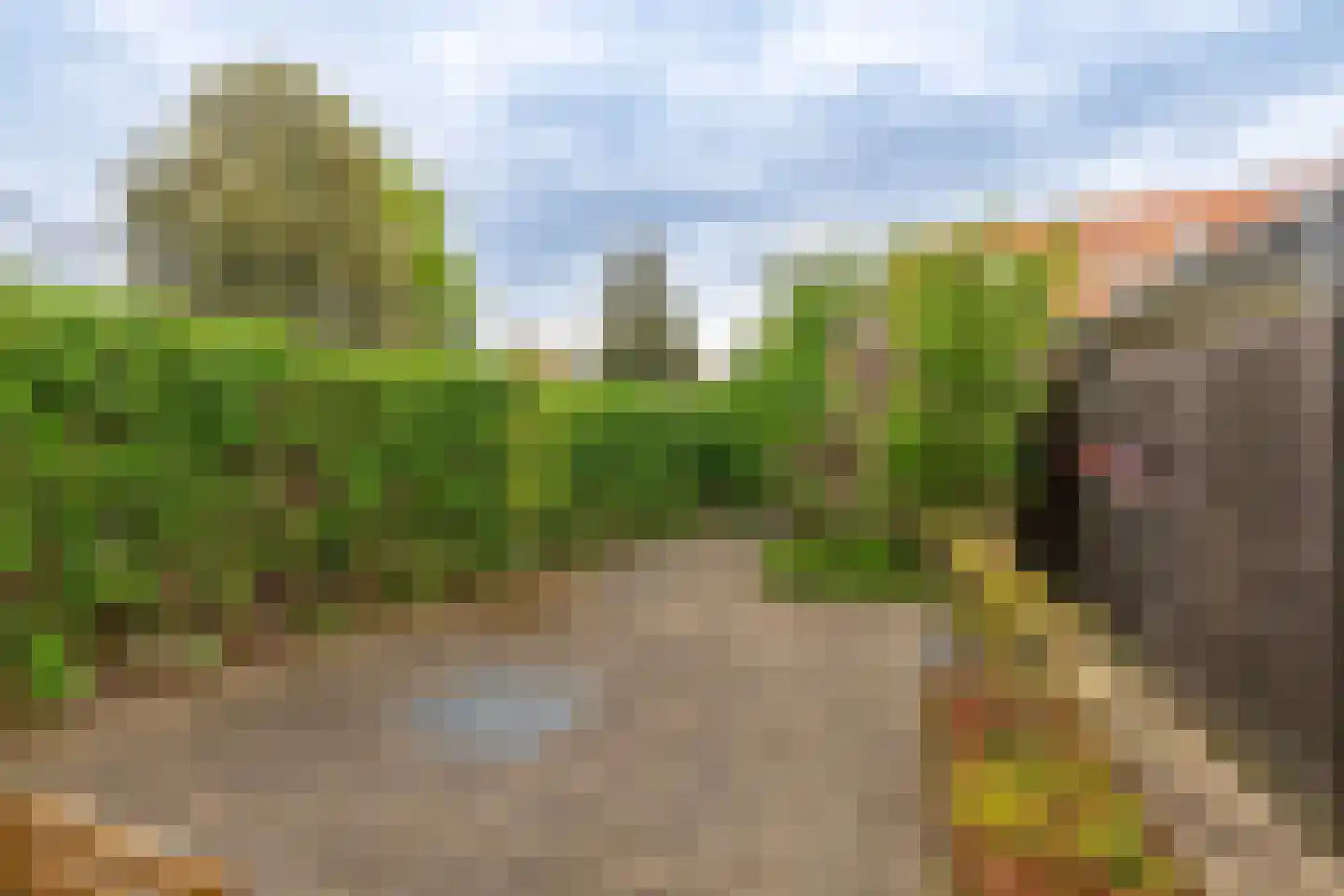 Grateastraat 33 Capelle aan den IJssel thumbnail 32