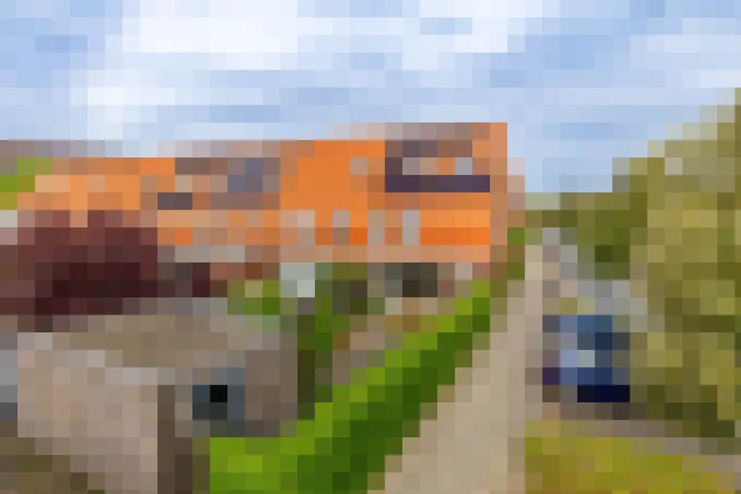 Grateastraat 33 Capelle aan den IJssel thumbnail 37