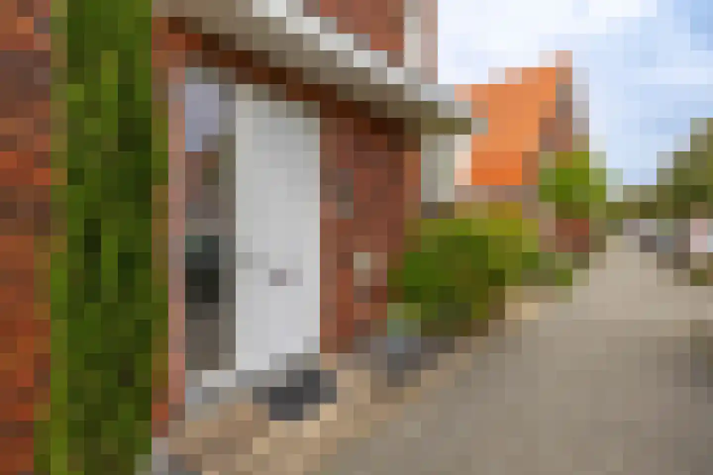 Grateastraat 33 Capelle aan den IJssel thumbnail 5
