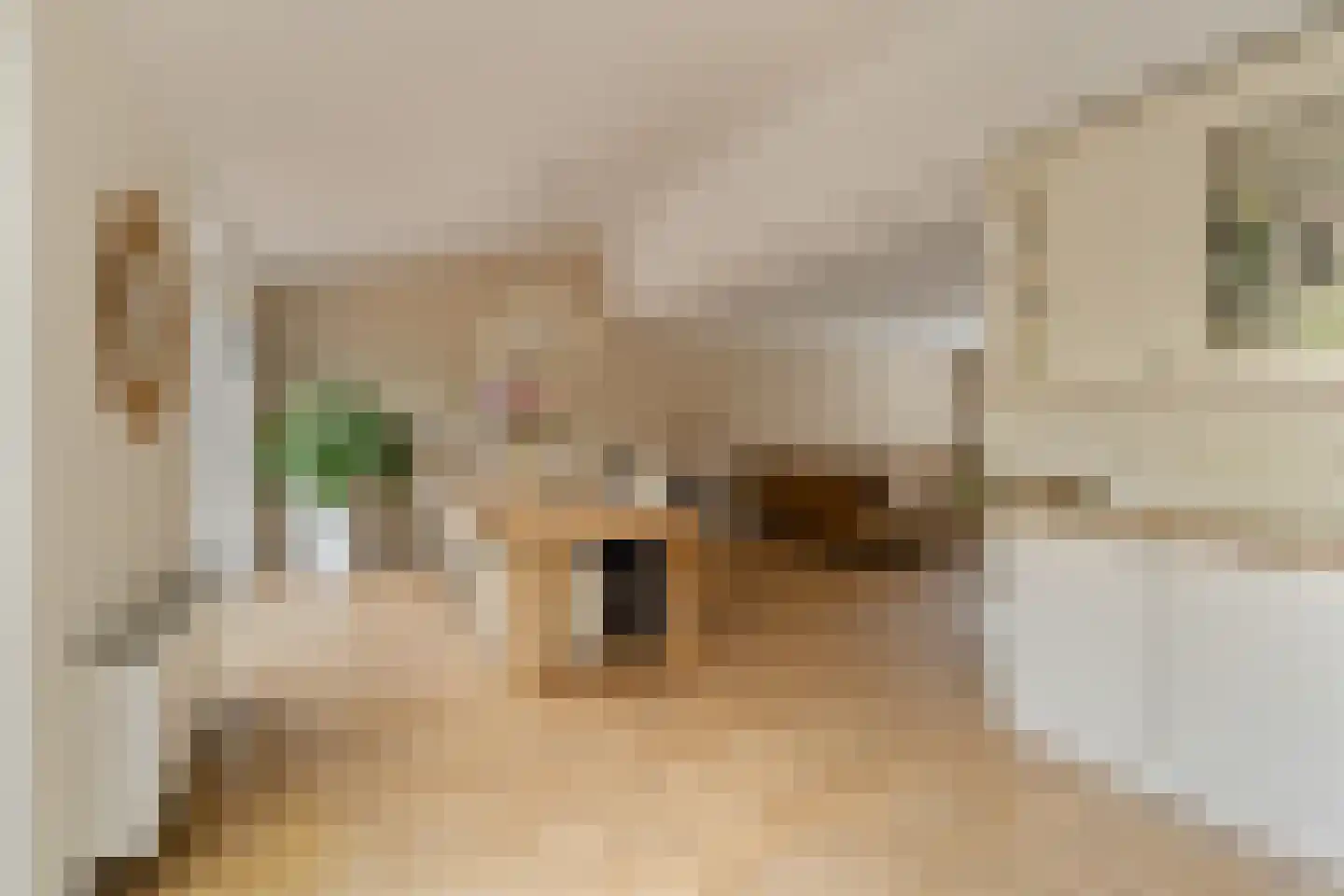 Grateastraat 85 Capelle aan den IJssel thumbnail 10