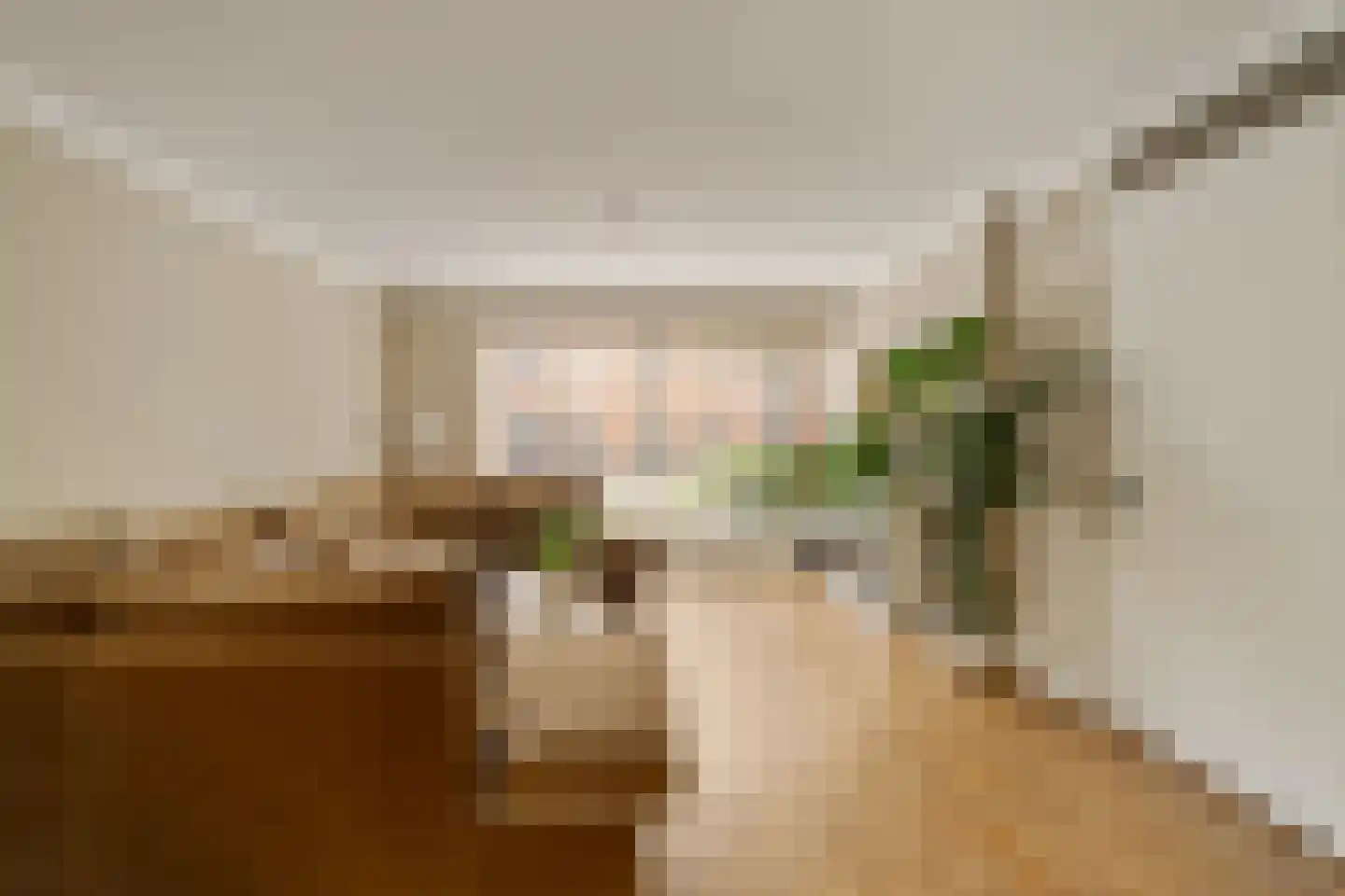 Grateastraat 85 Capelle aan den IJssel thumbnail 11