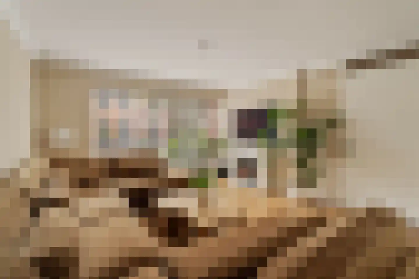 Grateastraat 85 Capelle aan den IJssel thumbnail 12