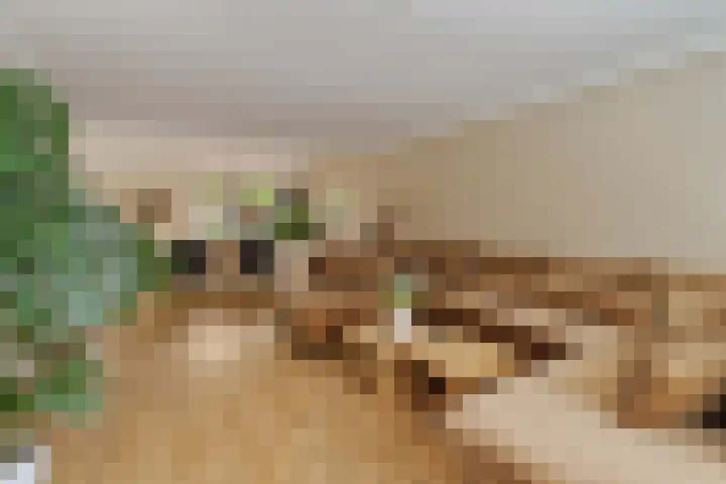 Grateastraat 85 Capelle aan den IJssel thumbnail 13