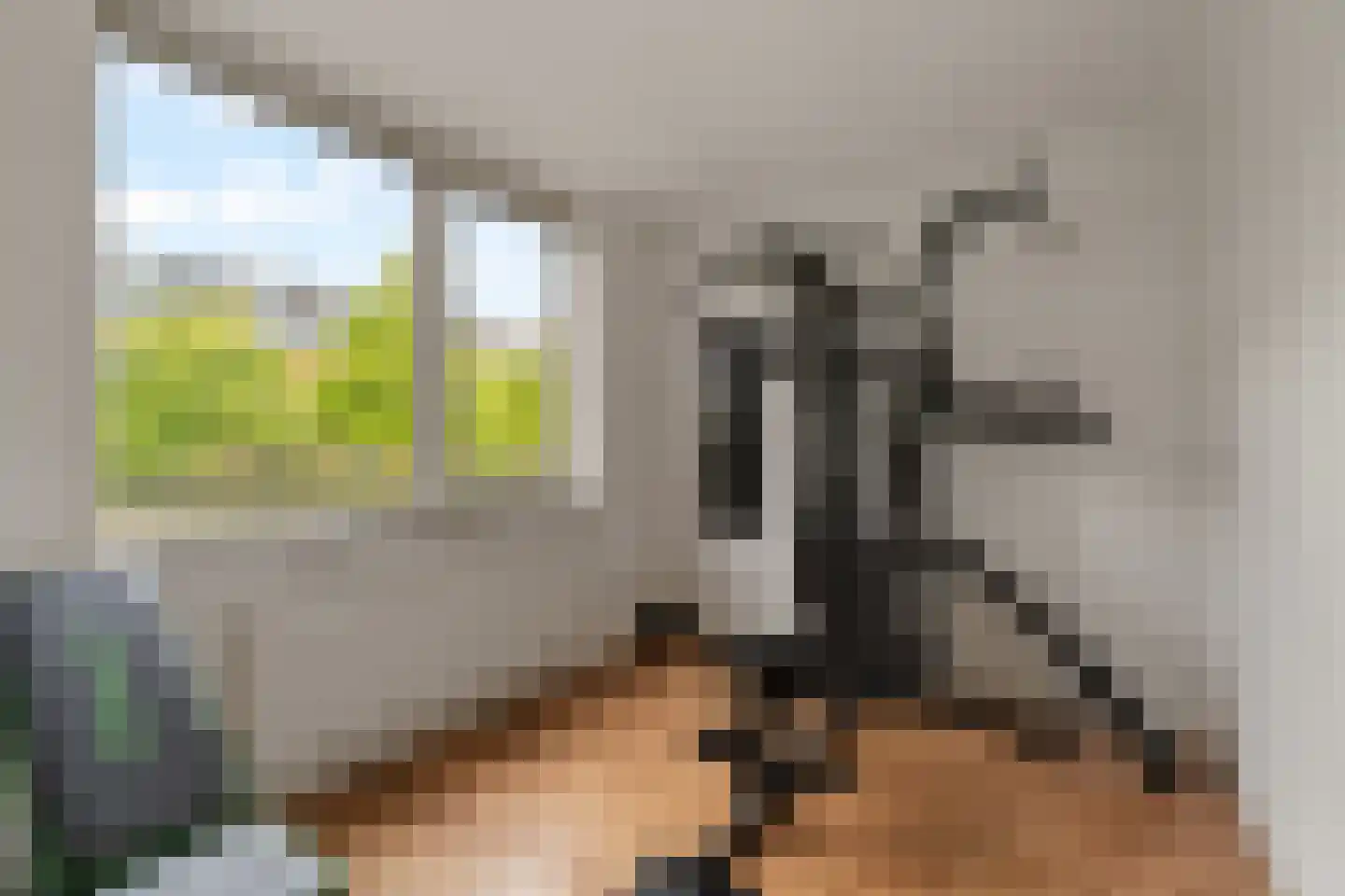 Grateastraat 85 Capelle aan den IJssel thumbnail 19