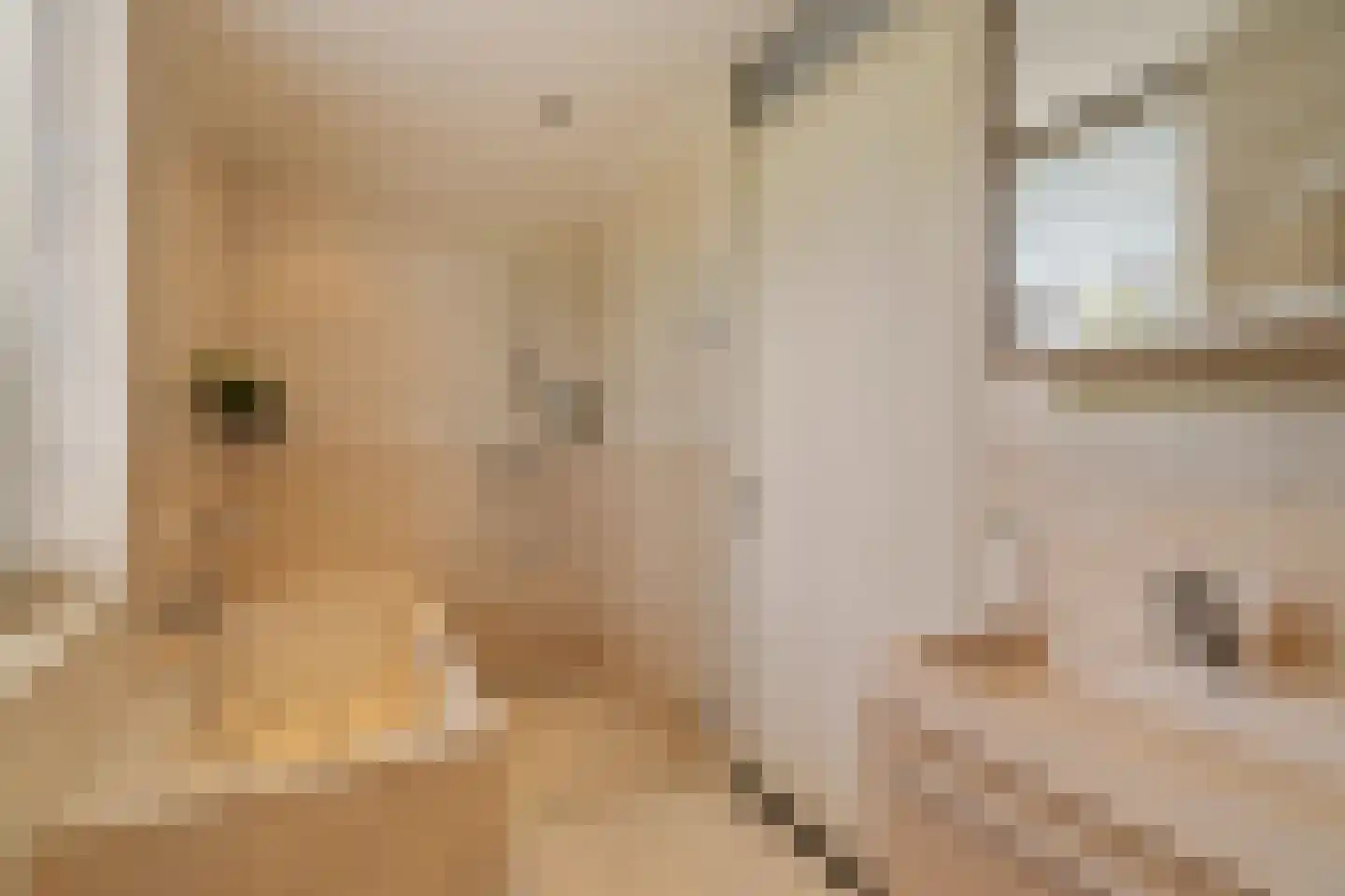 Grateastraat 85 Capelle aan den IJssel thumbnail 20
