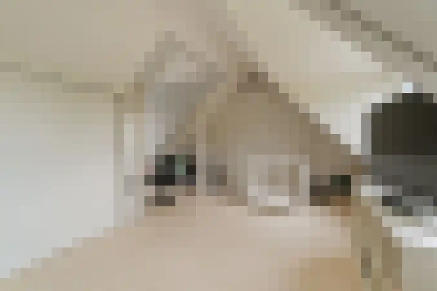 Grateastraat 85 Capelle aan den IJssel thumbnail 25