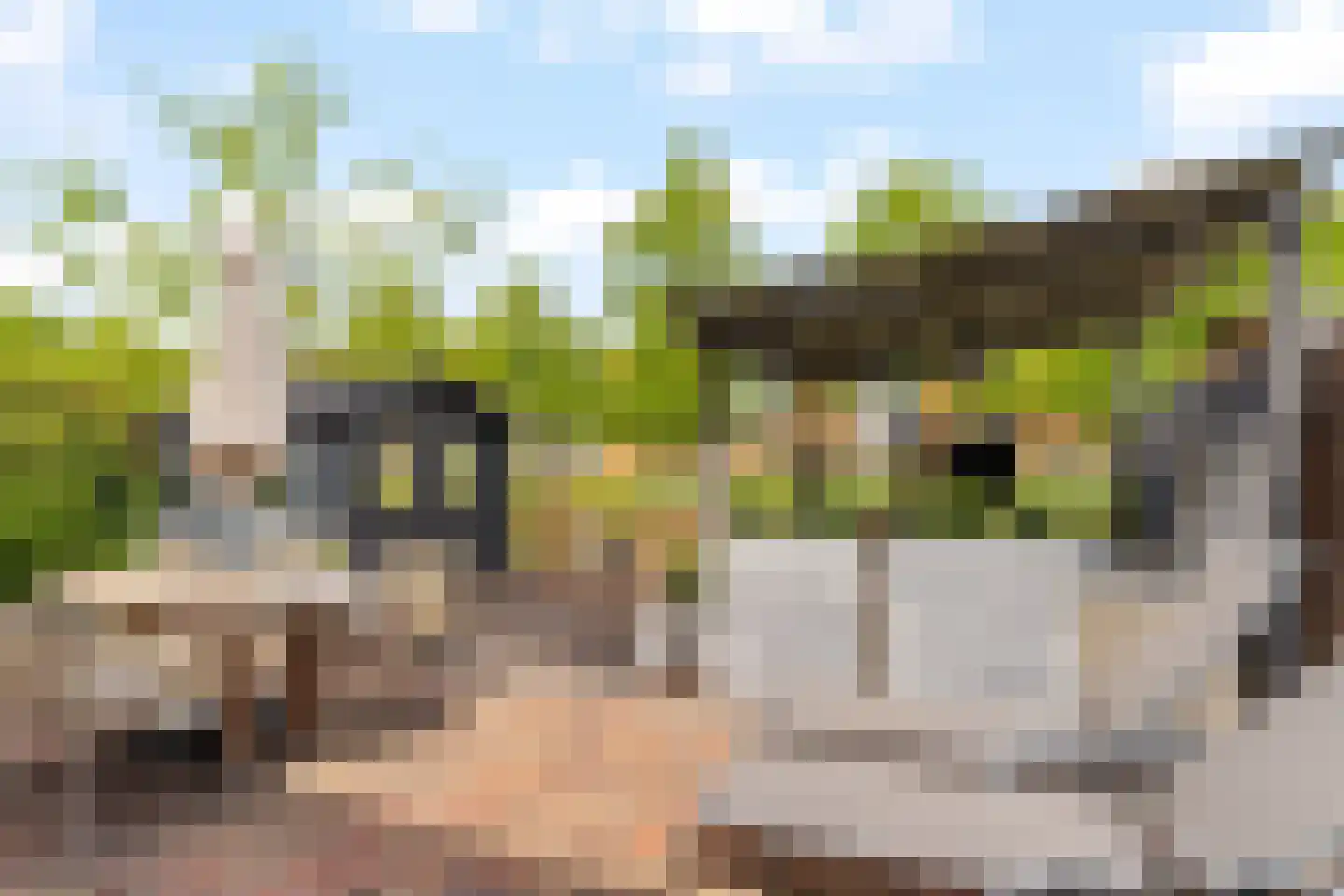 Grateastraat 85 Capelle aan den IJssel thumbnail 28