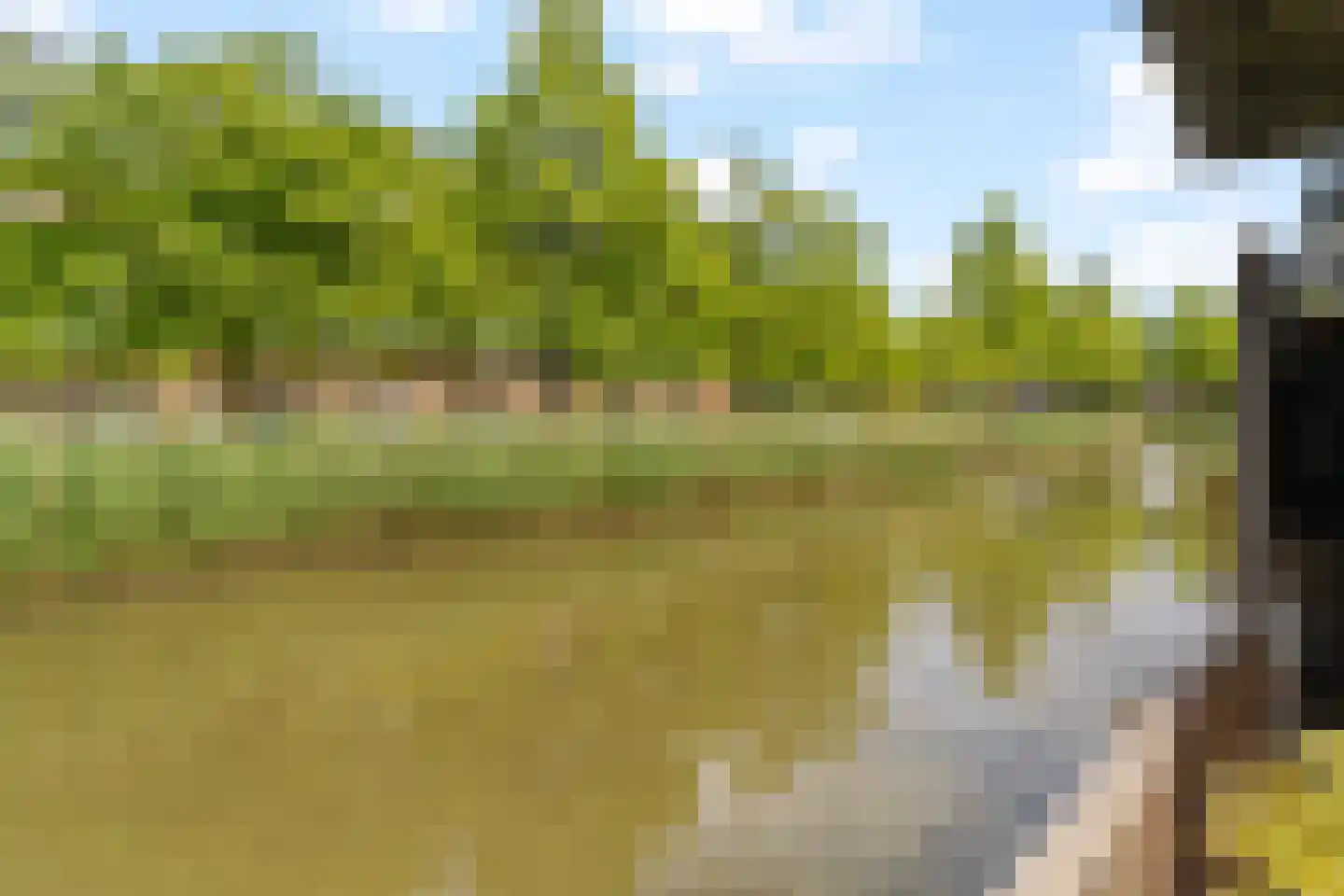 Grateastraat 85 Capelle aan den IJssel thumbnail 30
