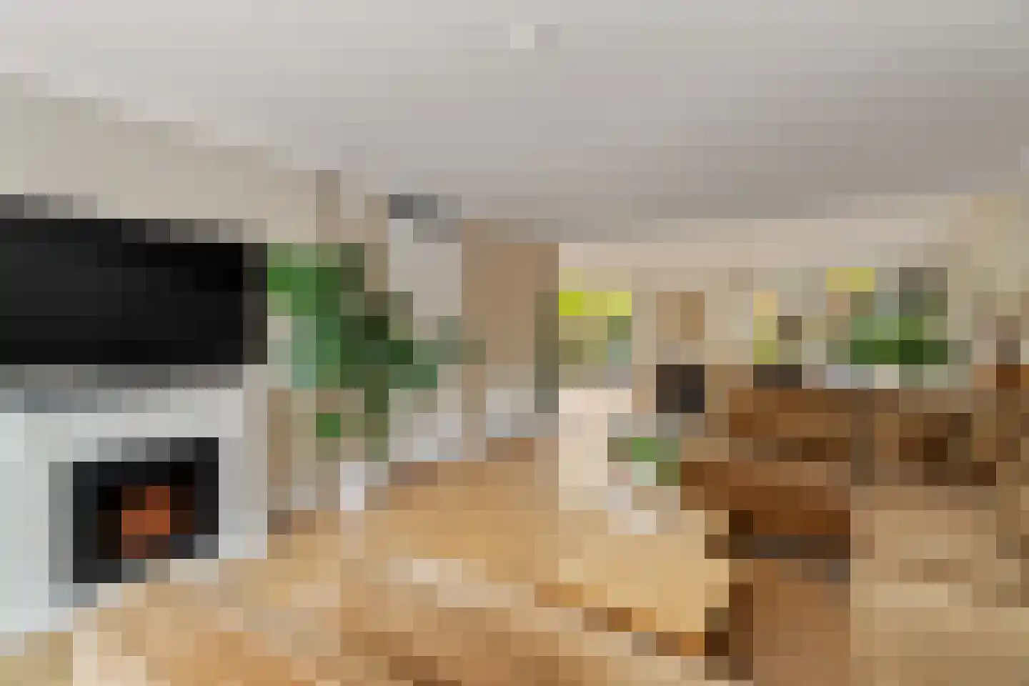 Grateastraat 85 Capelle aan den IJssel thumbnail 4
