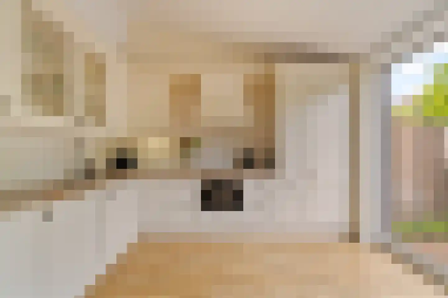 Grateastraat 85 Capelle aan den IJssel thumbnail 8