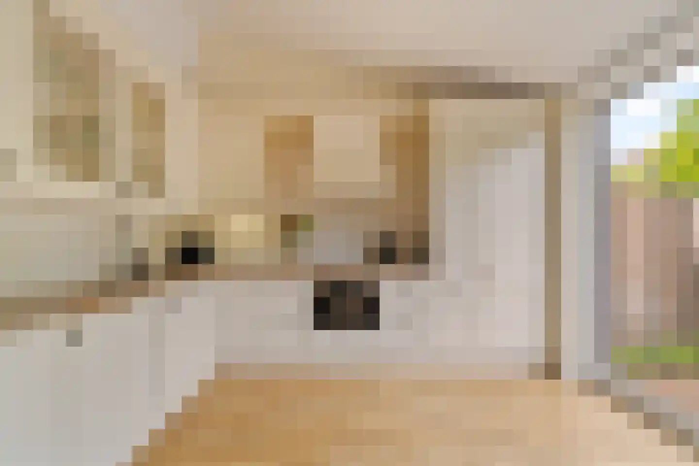 Grateastraat 85 Capelle aan den IJssel thumbnail 8
