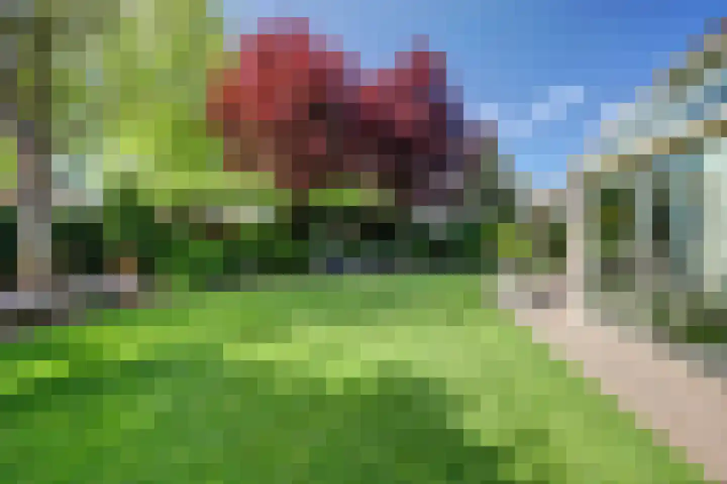 Gratenbogerd 22 Gameren thumbnail 60