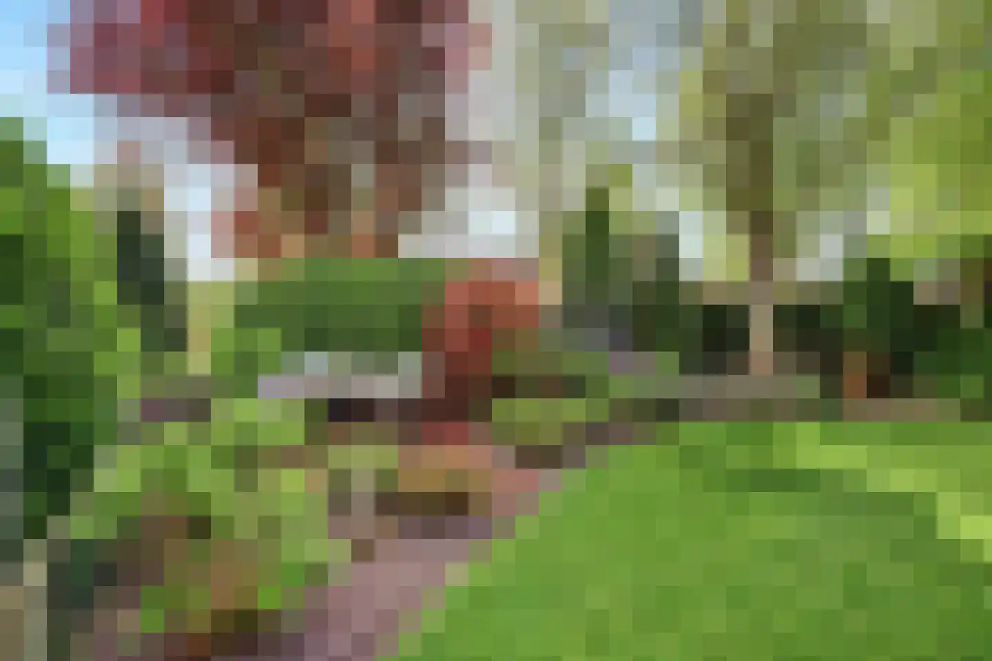 Gratenbogerd 22 Gameren thumbnail 62