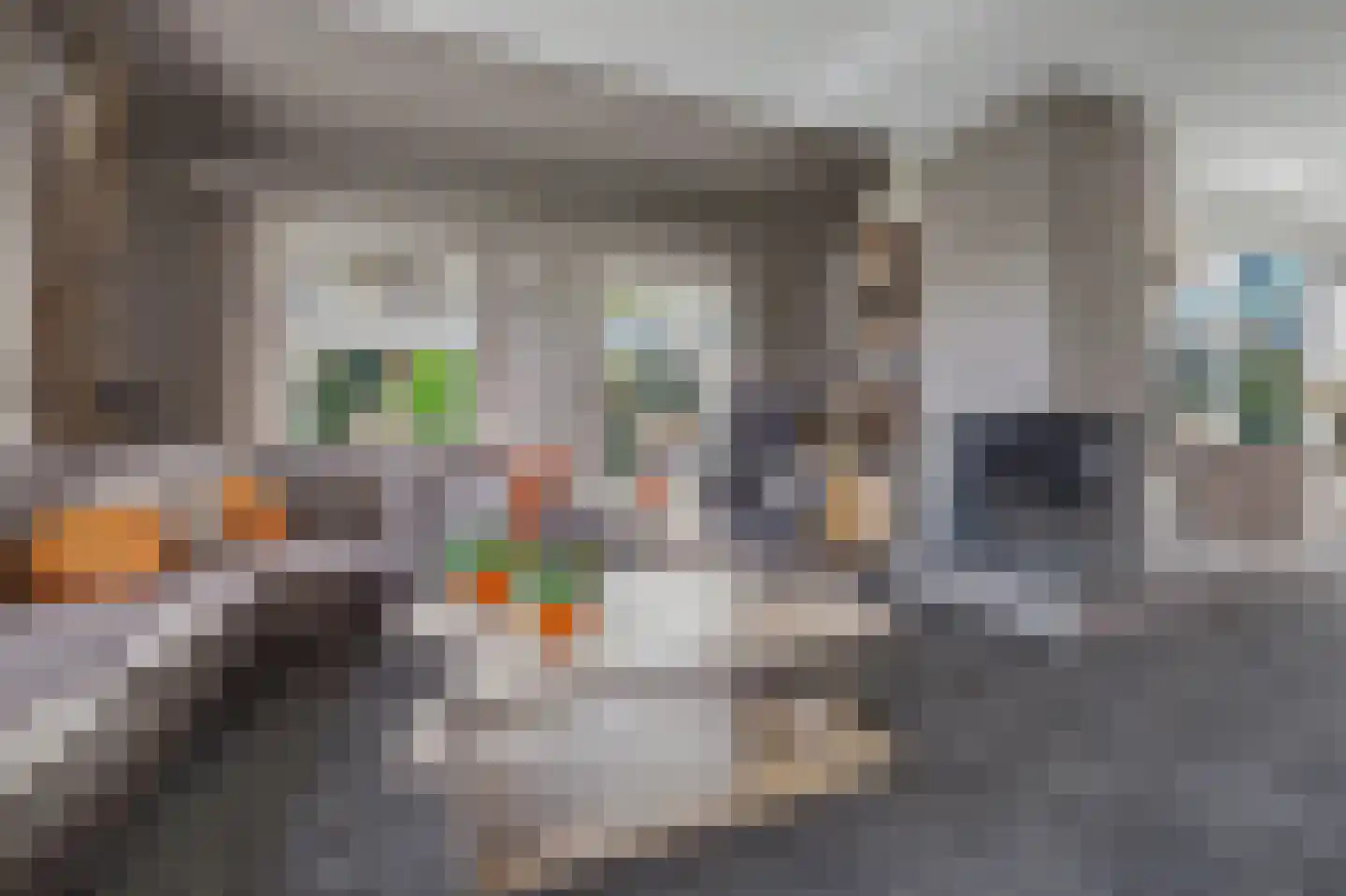 Gratenbogerd 22 Gameren thumbnail 7