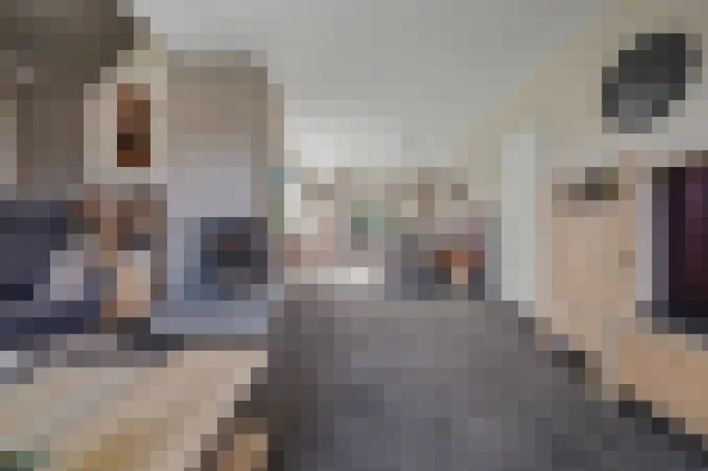 Gratenbogerd 22 Gameren thumbnail 9