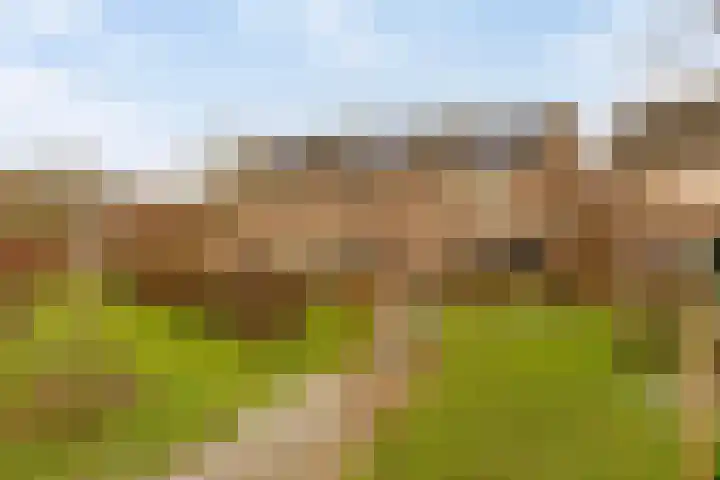 Gratenbogerd 45 Gameren thumbnail 35