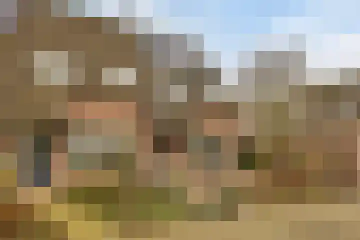Gratenbogerd 45 Gameren thumbnail 4