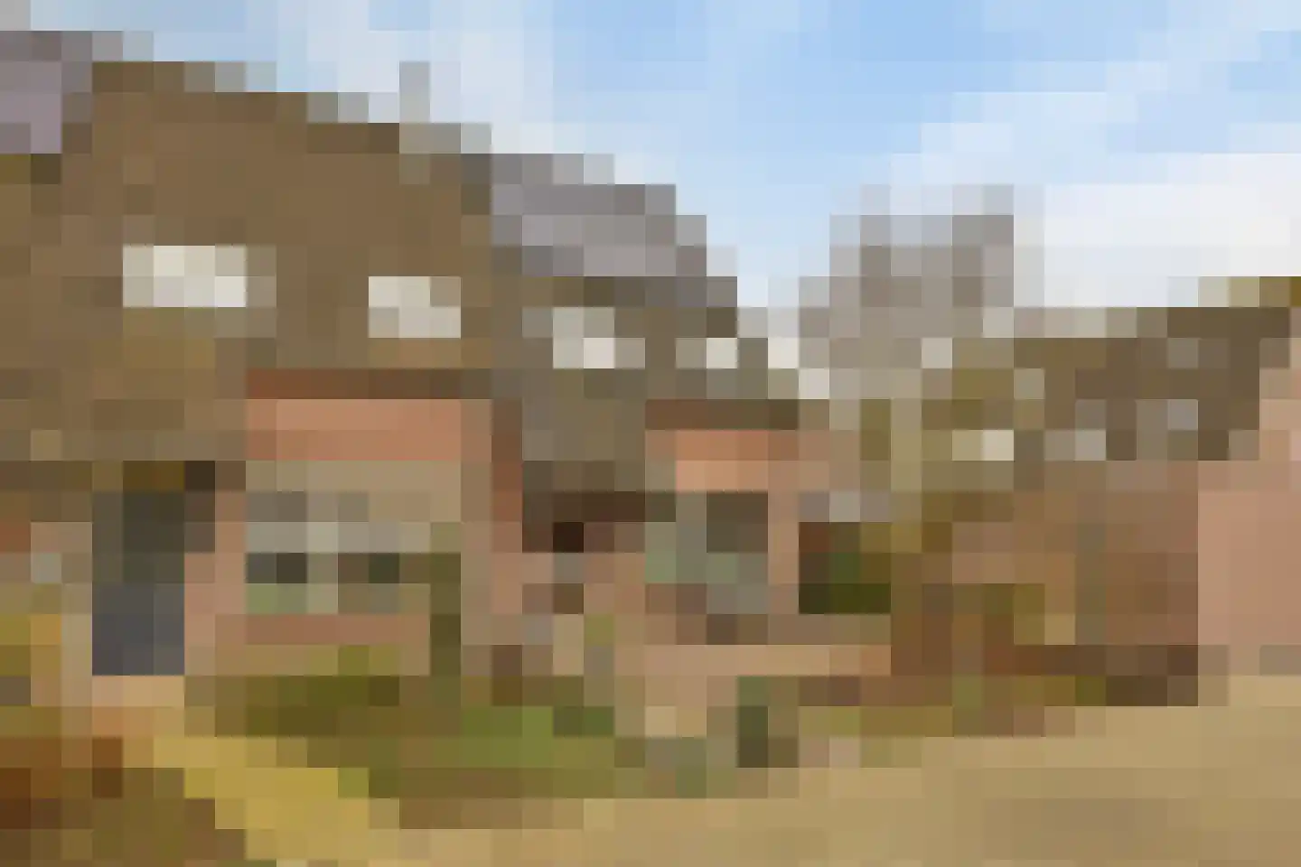 Gratenbogerd 45 Gameren thumbnail 4