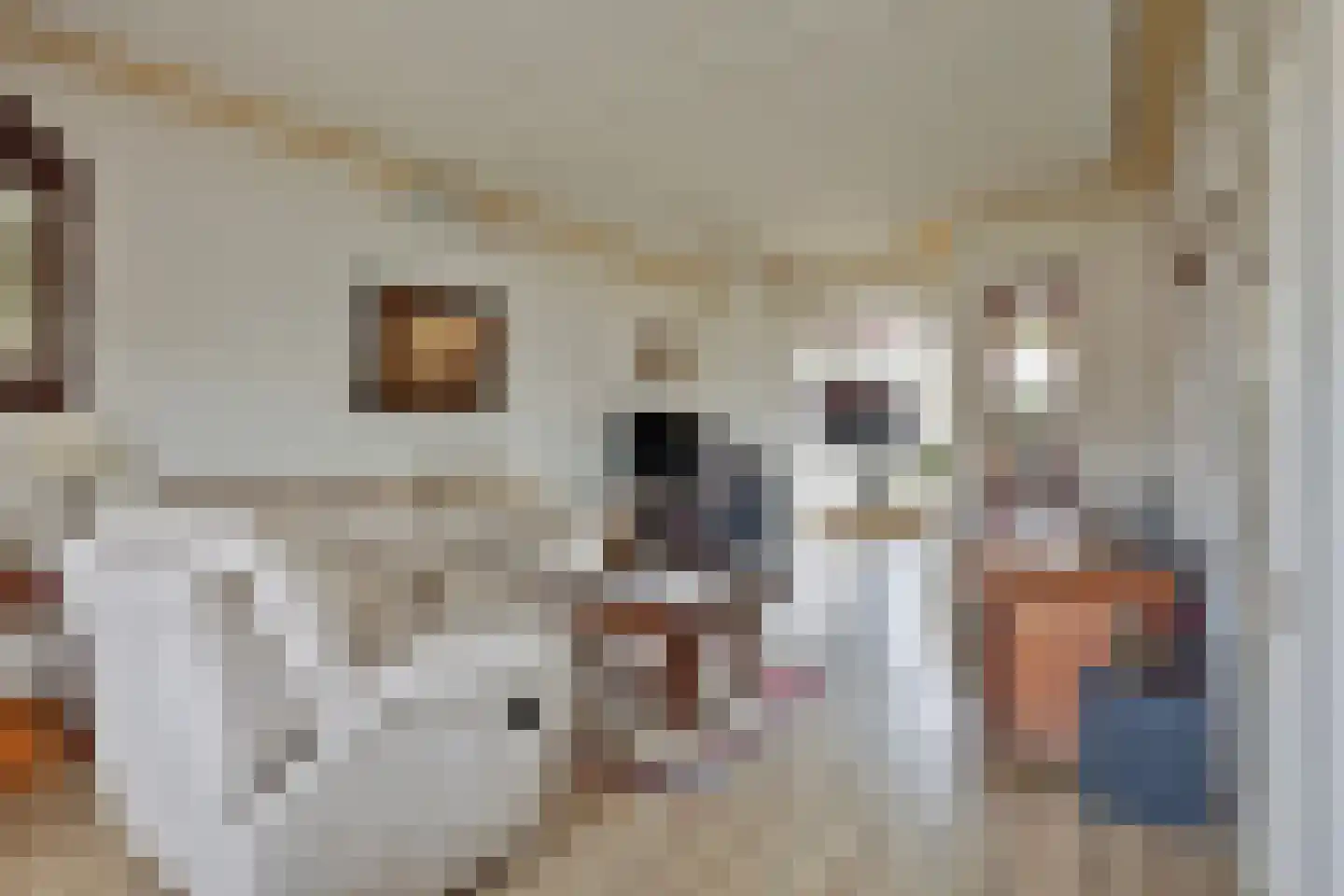 Gratenbogerd 45 Gameren thumbnail 6