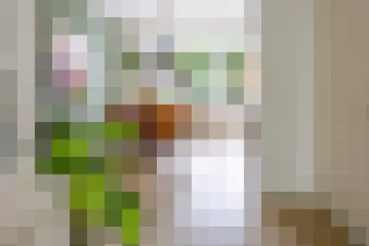 Gratenstraat 15 Venray thumbnail 12
