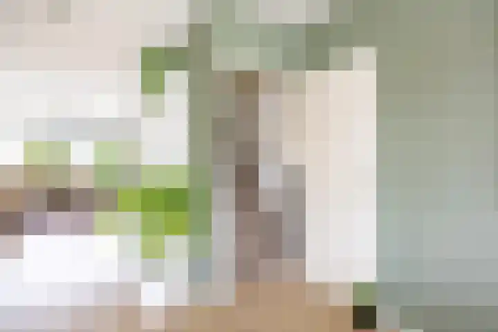 Gratenstraat 15 Venray thumbnail 18