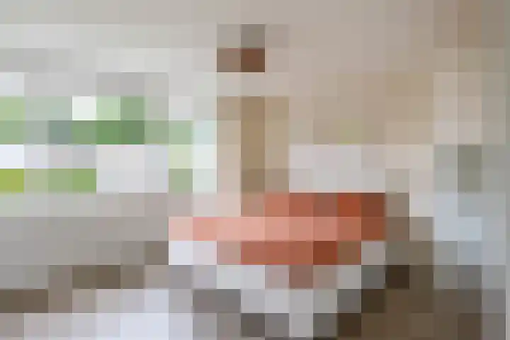 Gratenstraat 15 Venray thumbnail 21
